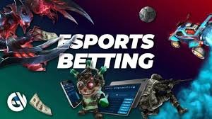 wpt VIP đặc quyền thành viên cao cấp Việt Nam